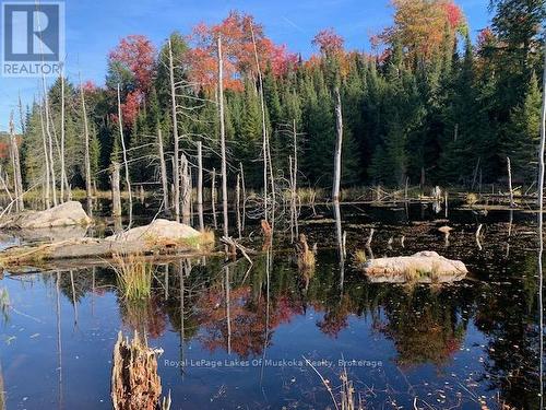 0 Sugar Bush Road E, Magnetawan, ON 