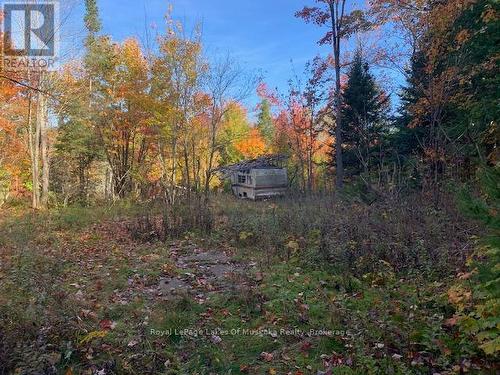 0 Sugar Bush Road E, Magnetawan, ON 