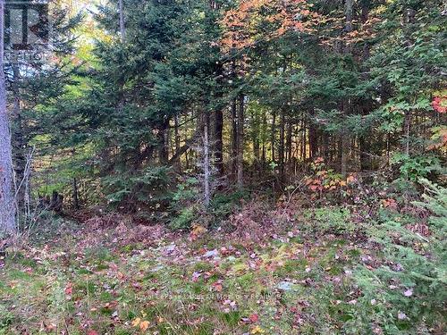 0 Sugar Bush Road E, Magnetawan, ON 