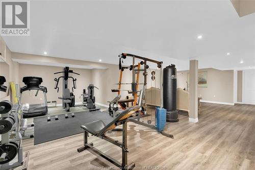 108 Marina Grove, Lakeshore, ON - Indoor Photo Showing Gym Room