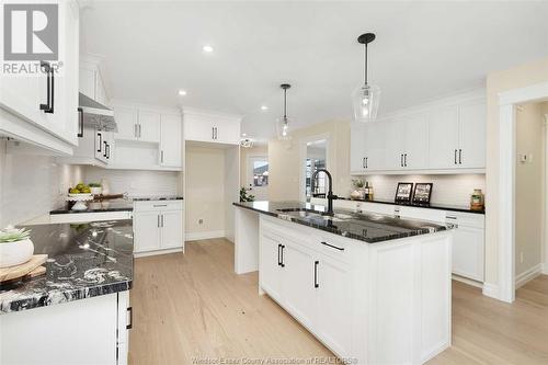 68 Graf Street, Harrow, ON - Indoor Photo Showing Kitchen With Upgraded Kitchen