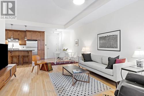 706 - 420 Berkley Avenue, Ottawa, ON - Indoor Photo Showing Living Room