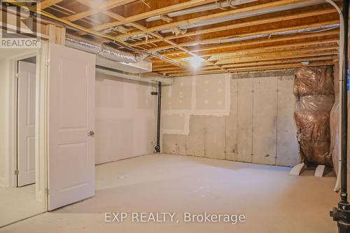 241 Raspberry Place, Waterloo, ON - Indoor Photo Showing Basement