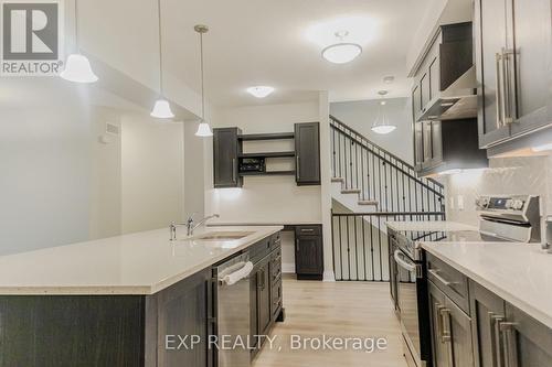 241 Raspberry Place, Waterloo, ON - Indoor Photo Showing Kitchen With Upgraded Kitchen