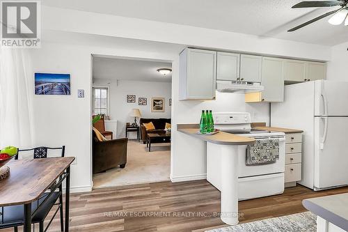 376 Silverbirch Boulevard, Hamilton, ON - Indoor Photo Showing Kitchen