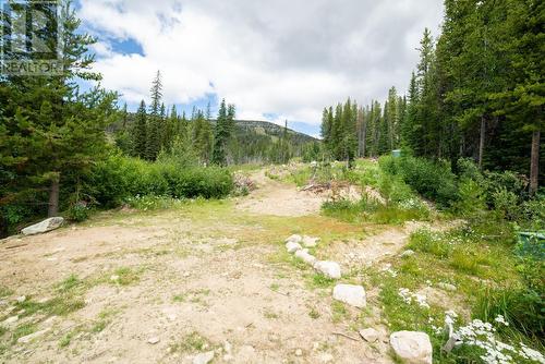 369 Buck Road, Mount Baldy, BC 