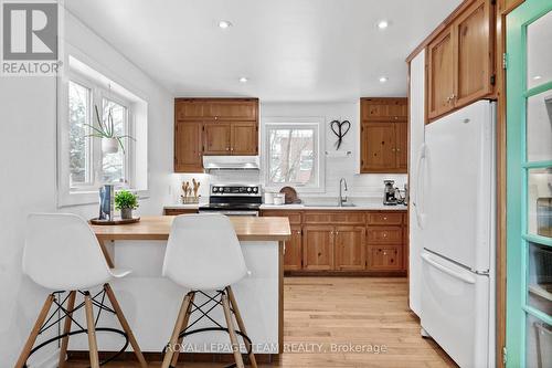 251 Iona Street, Ottawa, ON - Indoor Photo Showing Kitchen