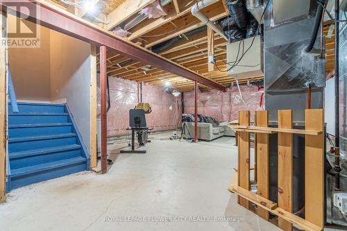 240 Palmer Lane, Woodstock, ON - Indoor Photo Showing Basement