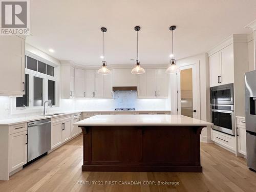 877 Eagletrace Drive, London, ON - Indoor Photo Showing Kitchen With Upgraded Kitchen