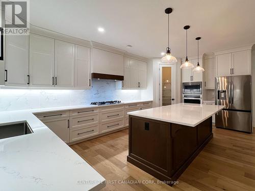 877 Eagletrace Drive, London, ON - Indoor Photo Showing Kitchen With Upgraded Kitchen