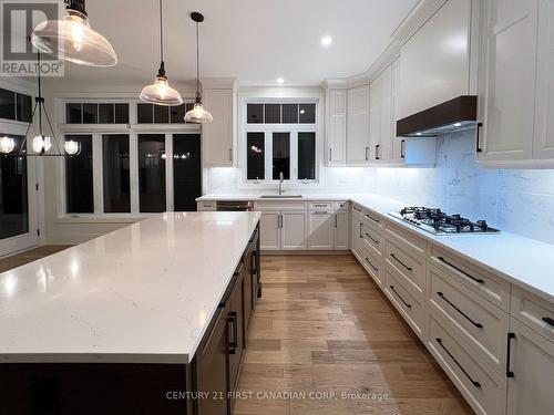 877 Eagletrace Drive, London, ON - Indoor Photo Showing Kitchen With Upgraded Kitchen