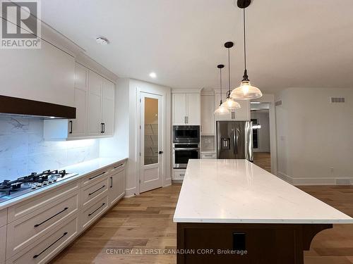 877 Eagletrace Drive, London, ON - Indoor Photo Showing Kitchen With Upgraded Kitchen