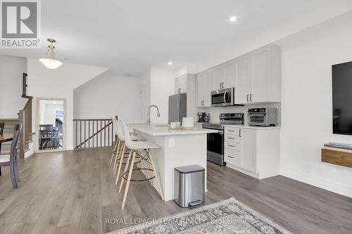 313 Raheen Court, Ottawa, ON - Indoor Photo Showing Kitchen