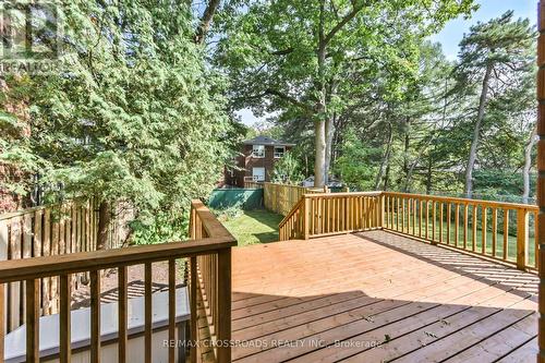 3 Haig Avenue, Toronto, ON - Outdoor With Deck Patio Veranda