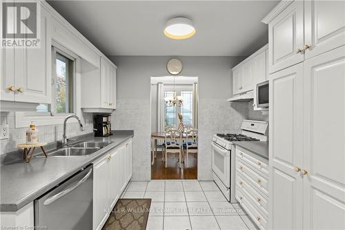 38 Brett Court, Hamilton, ON - Indoor Photo Showing Kitchen With Double Sink