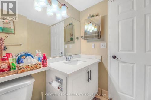 306 - 335 Webb Drive, Mississauga, ON - Indoor Photo Showing Bathroom