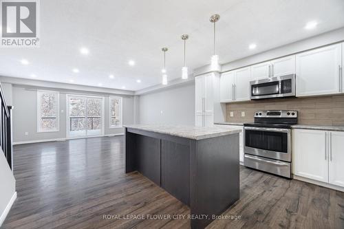 185 Maitland Street, Kitchener, ON - Indoor Photo Showing Kitchen With Upgraded Kitchen