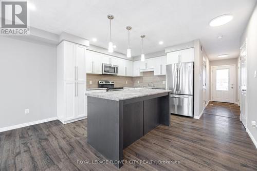 185 Maitland Street, Kitchener, ON - Indoor Photo Showing Kitchen With Upgraded Kitchen