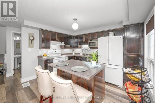 94 Rochefort Street, Kitchener, ON - Indoor Photo Showing Kitchen