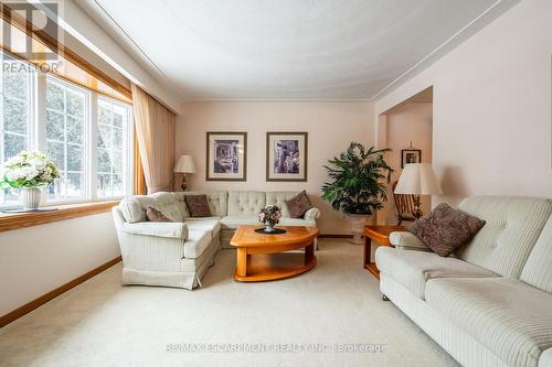 802 Millgrove Side Road, Hamilton, ON - Indoor Photo Showing Living Room