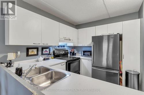 213 - 2030 Cleaver Avenue, Burlington, ON - Indoor Photo Showing Kitchen With Double Sink