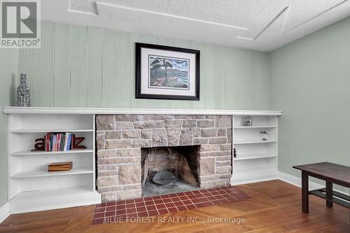 103 Selkirk Street, London, ON - Indoor Photo Showing Other Room With Fireplace