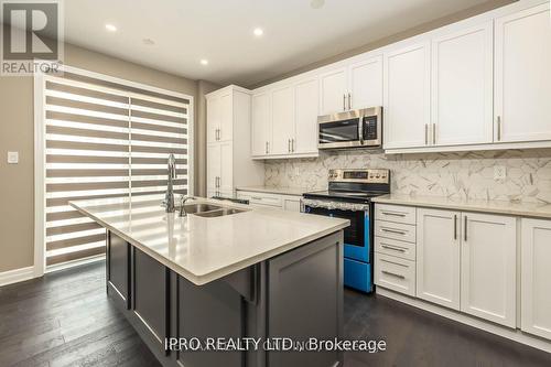 42 Milt Schmidt Street, Kitchener, ON - Indoor Photo Showing Kitchen With Double Sink With Upgraded Kitchen