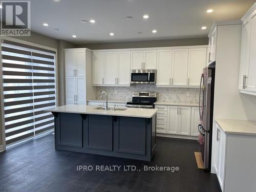 42 Milt Schmidt Street, Kitchener, ON - Indoor Photo Showing Kitchen With Double Sink