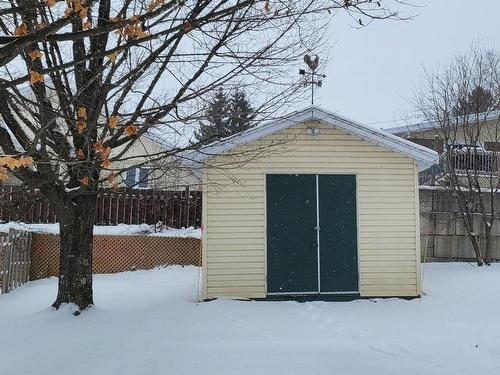 Remise - 202 30E Avenue, Beauceville, QC - Outdoor