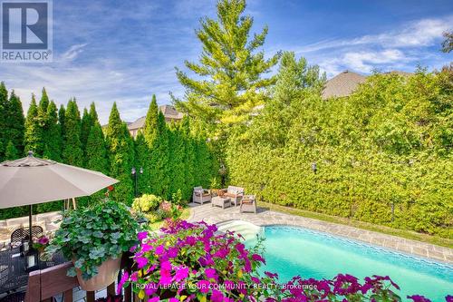 130 Grey Alder Avenue, Richmond Hill, ON - Outdoor With In Ground Pool