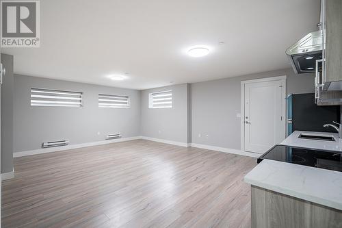 1396 Apel Drive, Port Coquitlam, BC - Indoor Photo Showing Basement