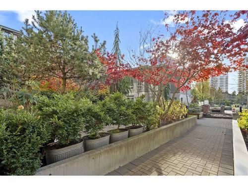 217 13468 King George Boulevard, Surrey, BC - Outdoor