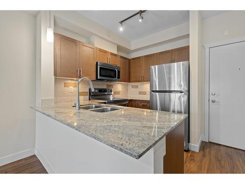 217 13468 King George Boulevard, Surrey, BC - Indoor Photo Showing Kitchen With Double Sink With Upgraded Kitchen