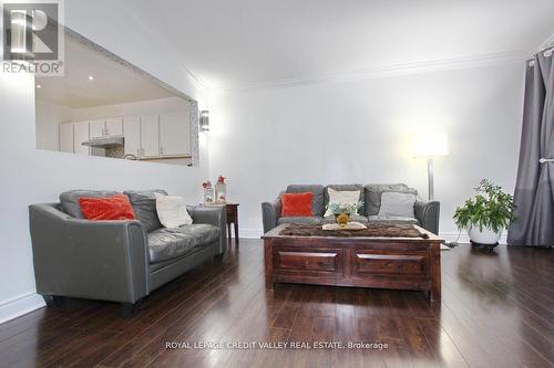 115 Clarence Street, Brampton, ON - Indoor Photo Showing Living Room