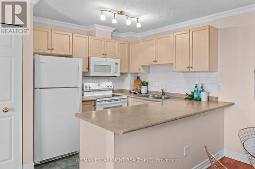 205 - 4140 Foxwood Drive, Burlington, ON - Indoor Photo Showing Kitchen With Double Sink