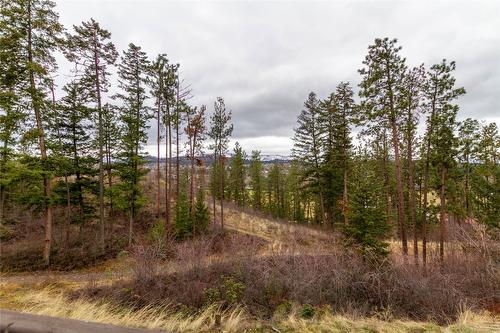 10412 Sherman Drive, Lake Country, BC - Outdoor With View