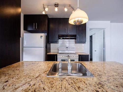 Kitchen - 412-2555 Rue Grenet, Montréal (Saint-Laurent), QC - Indoor Photo Showing Kitchen With Double Sink