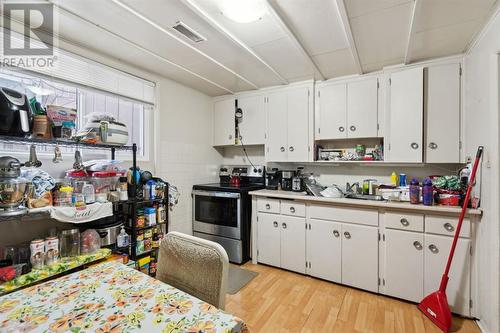 Lower suite: kitchen - 1511 Child Avenue Ne, Calgary, AB - Indoor Photo Showing Kitchen With Double Sink