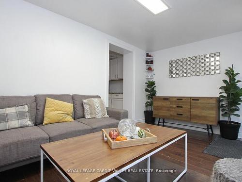 115 Clarence St, Brampton, ON - Indoor Photo Showing Living Room