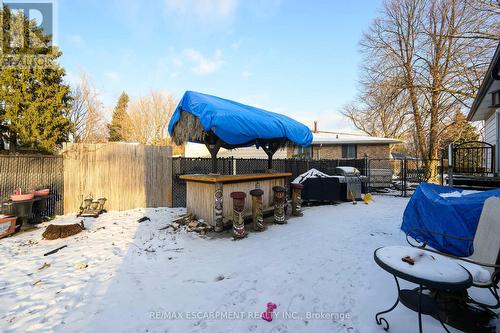 8 Gafney Court, Hamilton, ON - Outdoor With Backyard