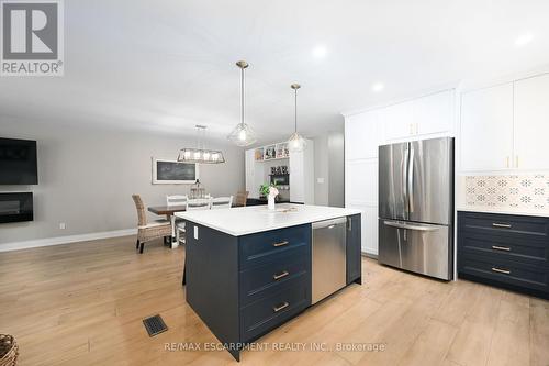 8 Gafney Court, Hamilton, ON - Indoor Photo Showing Kitchen With Upgraded Kitchen