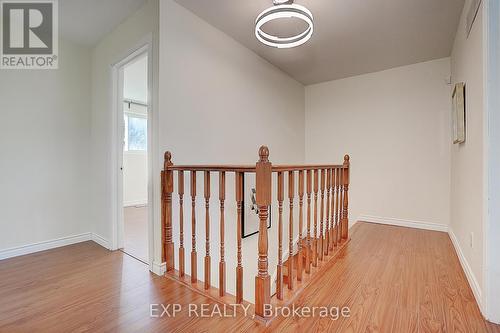 11 Micmac Crescent, Toronto, ON - Indoor Photo Showing Other Room