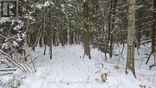 1250 Upper Dwyer Hill Road, Ottawa, ON - Outdoor With View