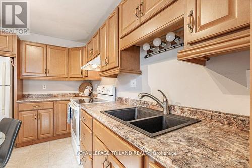 35 Caprice Crescent, London, ON - Indoor Photo Showing Kitchen With Double Sink