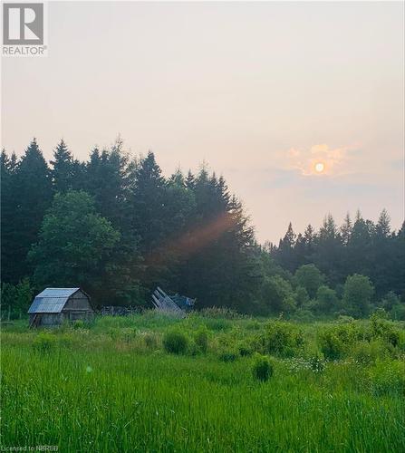 Yard at dusk with an outdoor structure - 526 Star Lake Road, Emsdale, ON - Outdoor With View