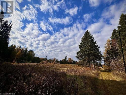 View of nature with a rural view - 526 Star Lake Road, Emsdale, ON - Outdoor With View