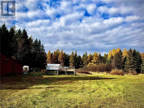 View of yard - 526 Star Lake Road, Emsdale, ON - Outdoor With View