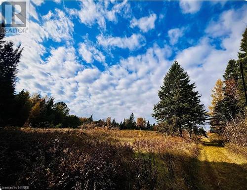 View of local wilderness with a rural view - 526 Star Lake Road, Emsdale, ON - Outdoor With View