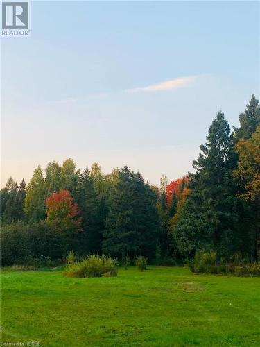 View of local wilderness - 526 Star Lake Road, Emsdale, ON - Outdoor With View