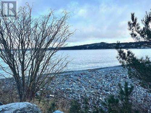 111 Coley'S Point S, Bay Roberts, NL - Outdoor With Body Of Water With View